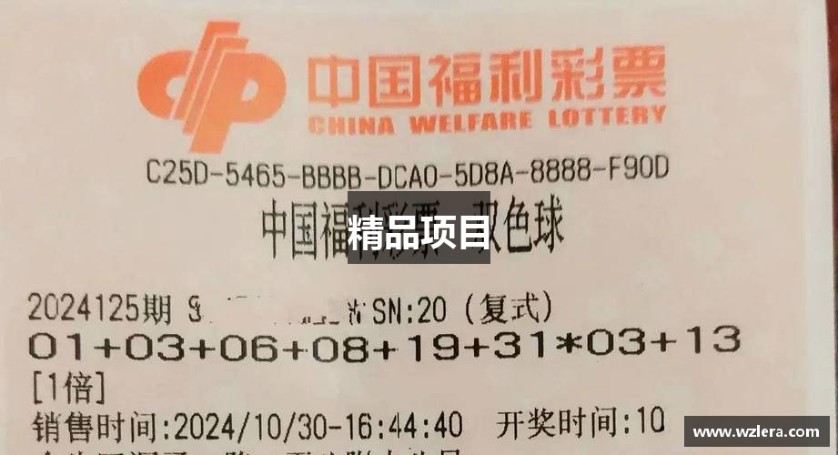 精品项目